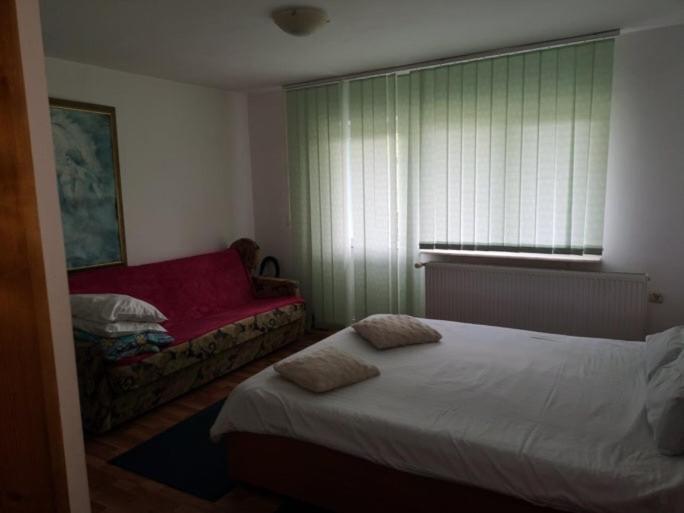 Casa Pelerinului Daire Capatineni-Paminteni Dış mekan fotoğraf